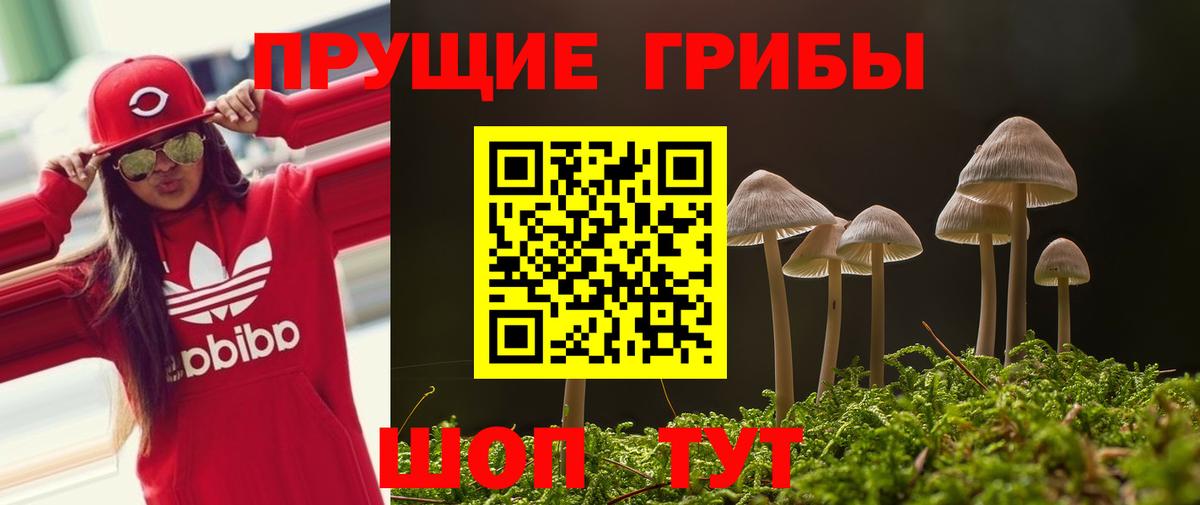 Галлюциногенные грибы ЛСД Пенза