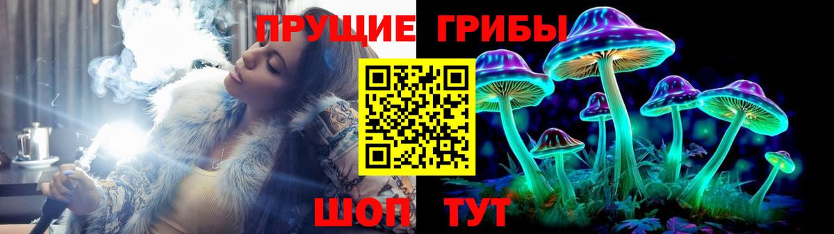 Пенза  Псилоцибиновые грибы Magic Shrooms  Вход с VPN 